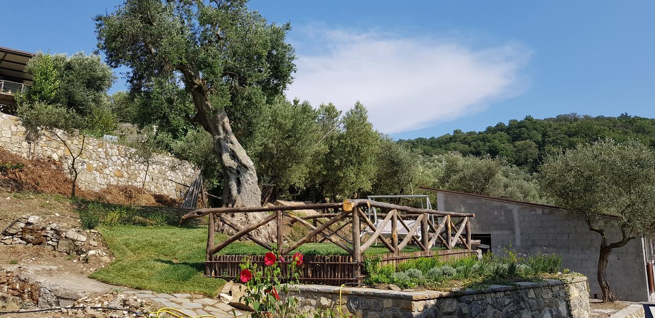 Agriturismo La Peppina Massa Lubrense Dış mekan fotoğraf