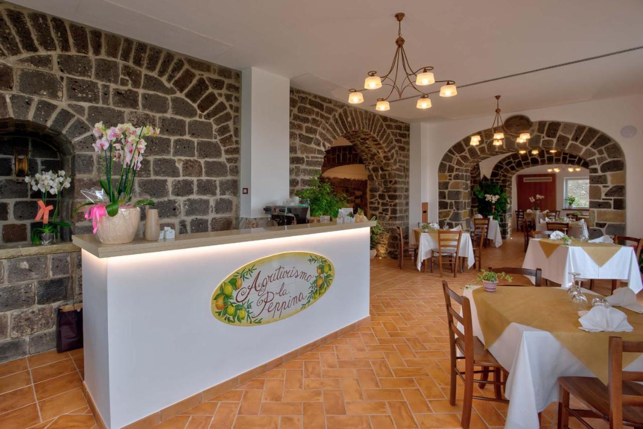 Agriturismo La Peppina Massa Lubrense Dış mekan fotoğraf