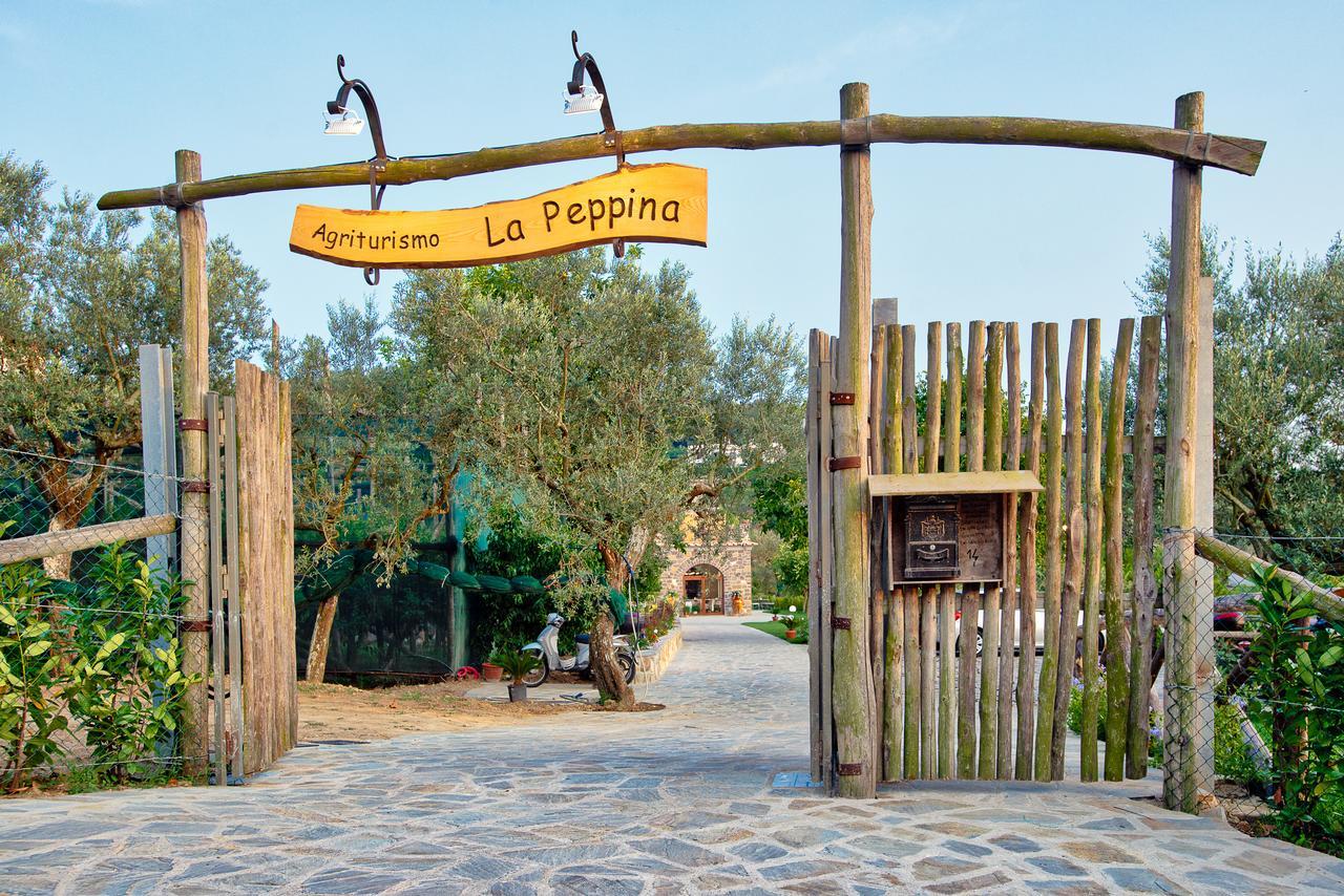 Agriturismo La Peppina Massa Lubrense Dış mekan fotoğraf
