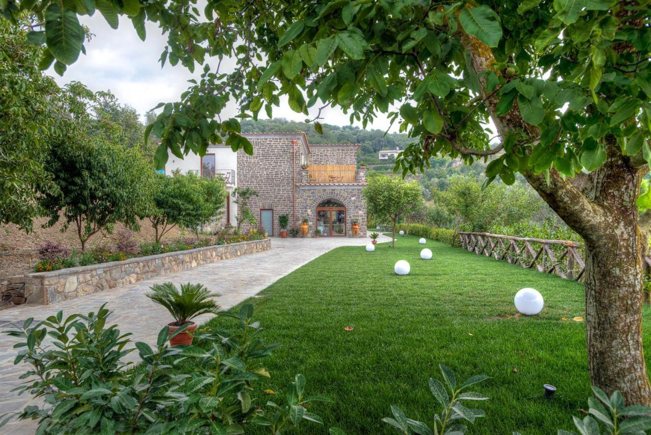 Agriturismo La Peppina Massa Lubrense Dış mekan fotoğraf